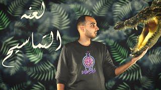 فارماستان - لعنة التماسيح !