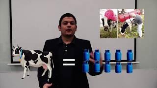 بنزين من ولا مليم ( الطاقة المتجددة ) - How to produce your own fuel
