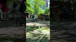chain reactions across NYC!