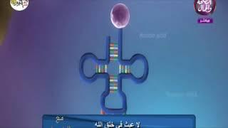 هل المصادفة هي التي خلقت الكائنات إثبات علمي جديد مع الكحيل