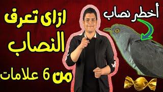 أخطر قصة نصب ممكن تسمعها في حياتك !! 